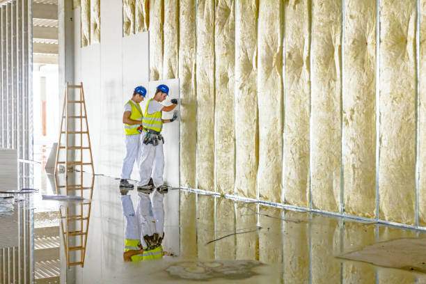 Best Insulation for Specific Applications in Ankeny, IA